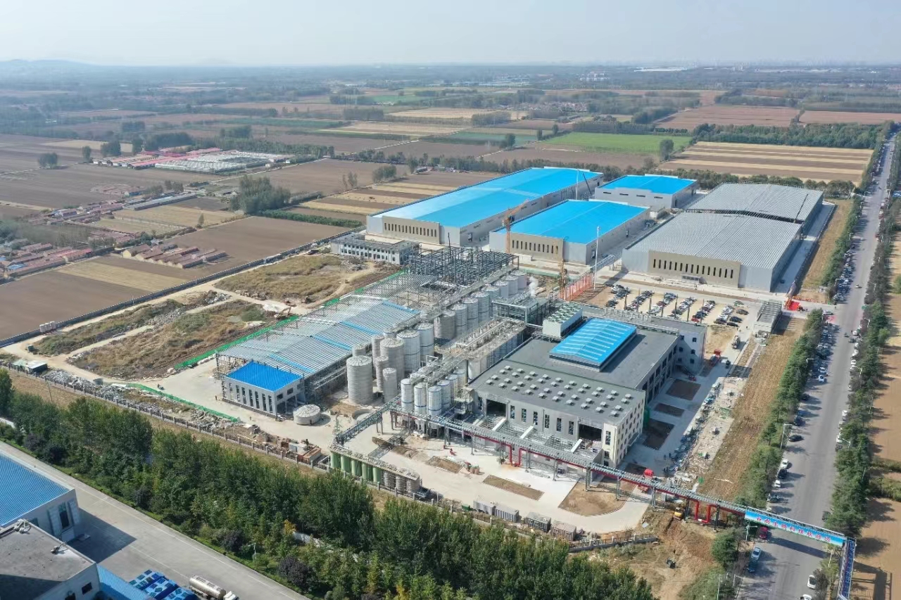 Qual &eacute; o processo de produ&ccedil;&atilde;o de glicose