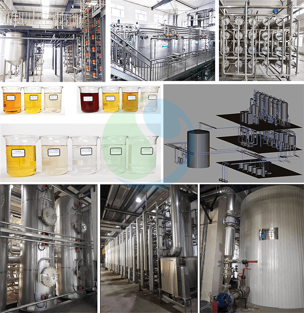 Projeto de Sugar Cane