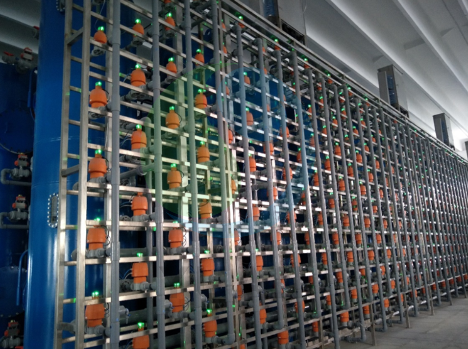 Descolora&ccedil;&atilde;o 2