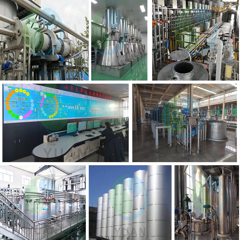 Linha de produção de alulose