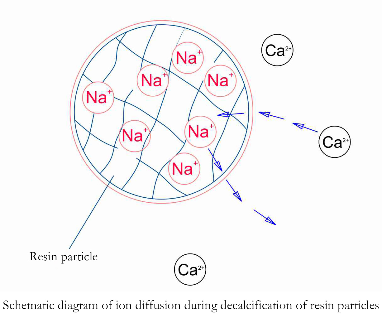 全 自动 脱钙 系统