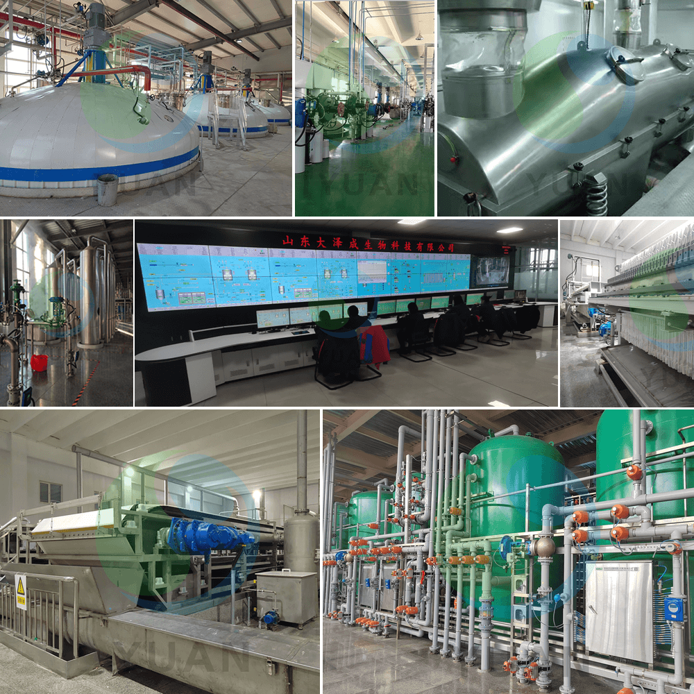 Projeto de ácido cítrico