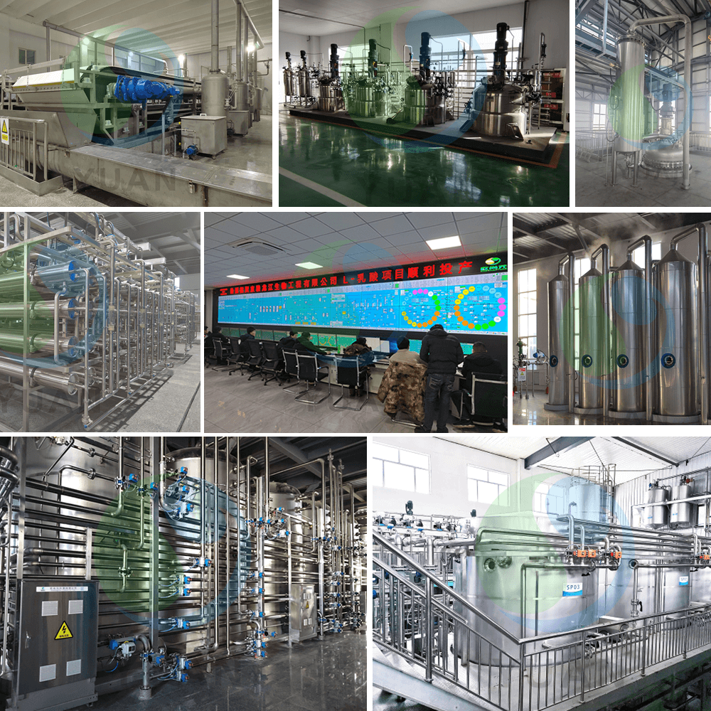 Projeto de ácido lático